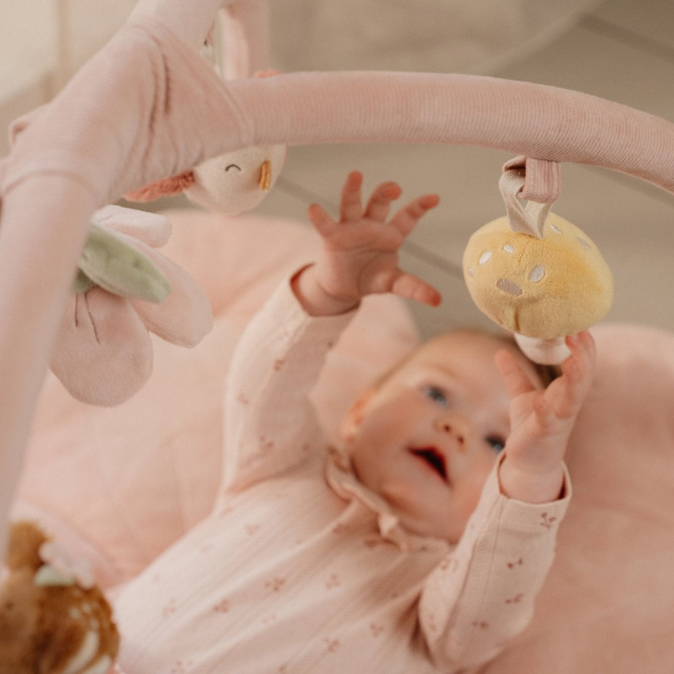 Little Dutch Baby Spielbogen &