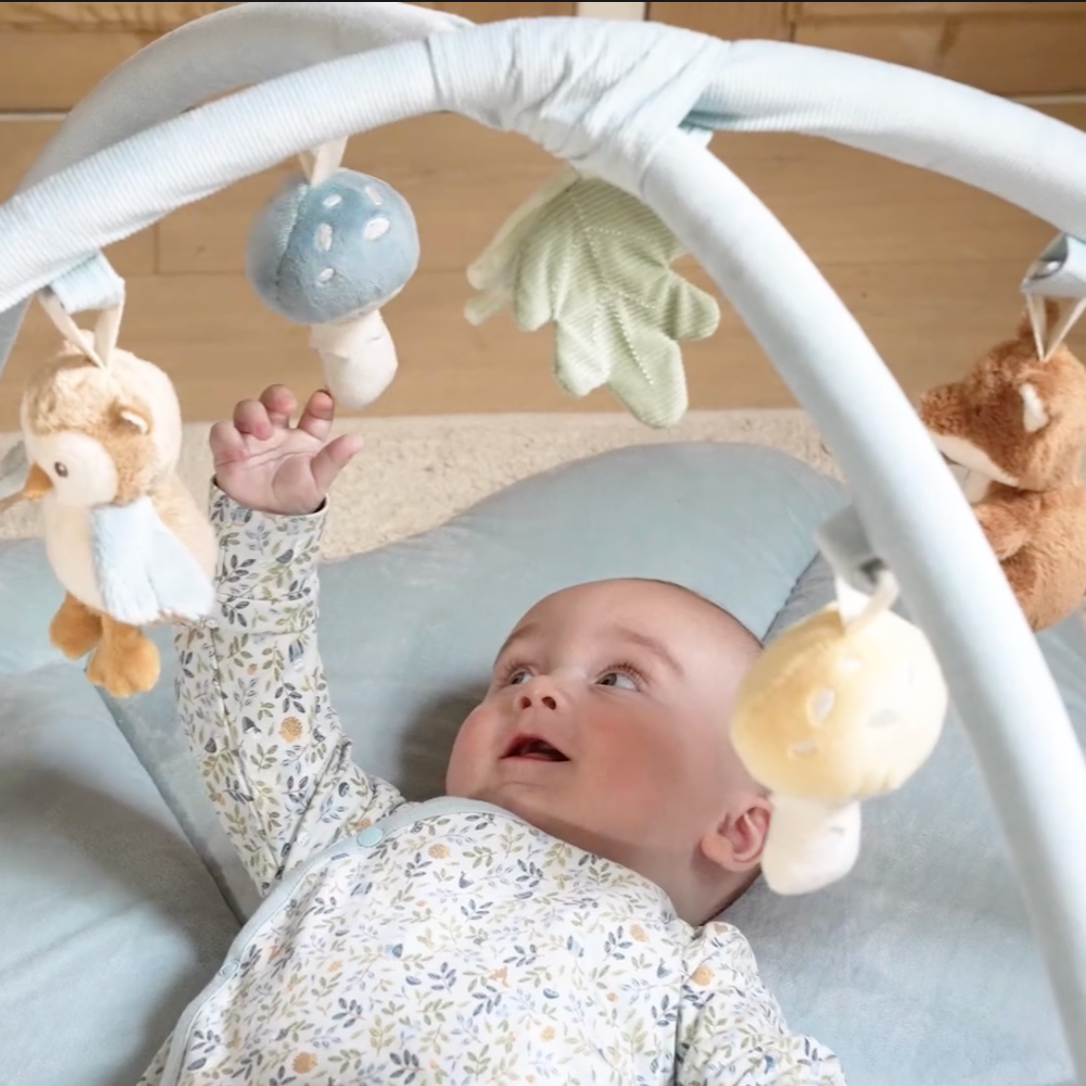 Little Dutch Baby Spielbogen &