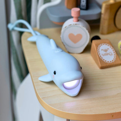Taschenlampe &